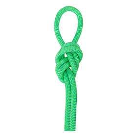 Salewa Speed Queen 9.1mm Rope Grönt 60 m
