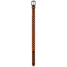 Amplifi Stud Team Belt Orange L Man