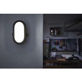 Ledvance Bulkhead LED 5.5W
