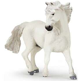 Camargue Horse