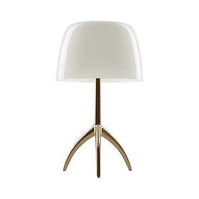 Foscarini Lumiere Piccola Dimmer