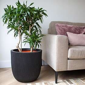 vidaXL Capi Kruka Groove 35x34 cm svart 445488