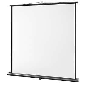 Celexon ultramobil Professional projektorduk 160 x cm