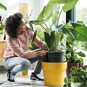 Elho Krukinsats Self-watering 33cm Grey-black