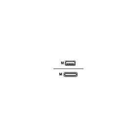 Cisco USB typ C-kabel USB till 24 pin USB-C 4 m
