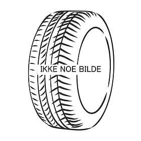 Nexen WinGuard WinSpike 3 245/45 R19 102T XL Dubbdäck