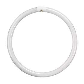 Crompton Circular Triphosphor T9 4-pin 4000K G10q 32W