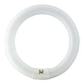 Crompton Circular Triphosphor T9 4-pin 3000K G10q 40W