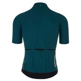 Q36.5 Pinstripe Pro Short Sleeve Jersey (Men's)