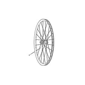 Zipp Cx Sprint Spokes 3 Units 290 mm