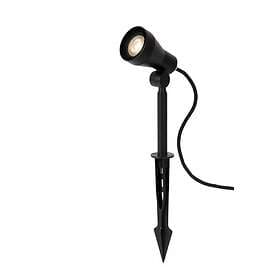 Lucide Spike