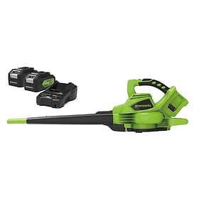 Greenworks GD24X2BV (2x4.0Ah)