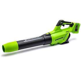Greenworks G24X2AB (2x2.0Ah)