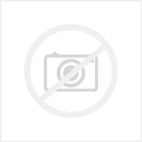 Netgear PR60X