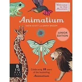 Animalium (Junior Edition) Engelska Hardback