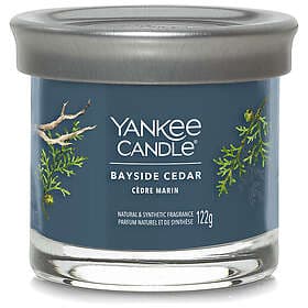 Yankee Candle Bayside Cedar Mini Tumbler Scented Candle