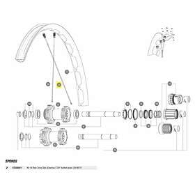 Mavic Kit 14 Rear Drive Side Edeemax S 29´´ Spokes Durchsichtig 304 mm