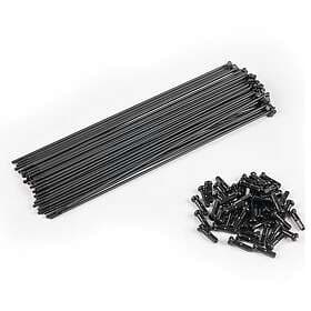Spokes Éclat Pg 40 Units With Nipples Svart 174 mm