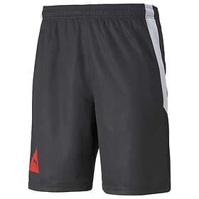 Puma FUßBALL PARK Shorts (Men's)