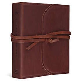 ESV Journaling Study Bible