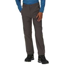 Regatta Highton Waterproof Pants (Men's)