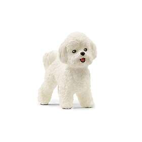 Schleich Bichon Frisé