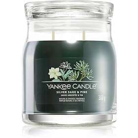 Yankee Candle Silver Sage & Pine Scented Candle 368g