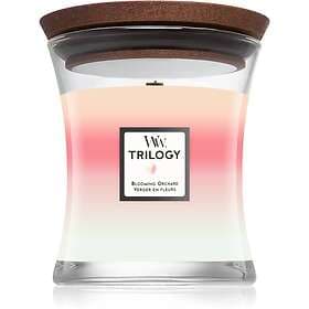 WoodWick Trilogy Blooming Orchard Scented Candle 275g