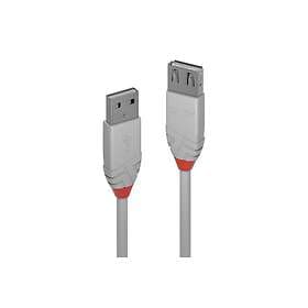 Lindy USB A - USB A 1m USB 2.0