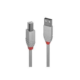 Lindy USB A - USB B 2m USB 2.0 Grey