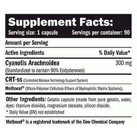 Amix Beta Ecdyx Energy Suplement 90 Units Durchsichtig