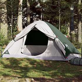 vidaXL Family Tent dome 2 persons green waterproof 94643
