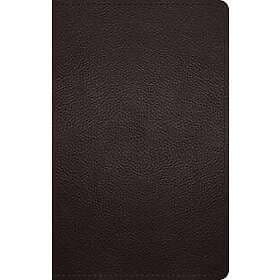 ESV Large Print Personal Size Bible