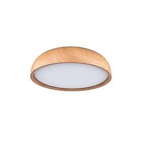 Paulmann Oka LED
