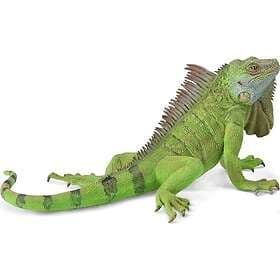 Collecta Iguana