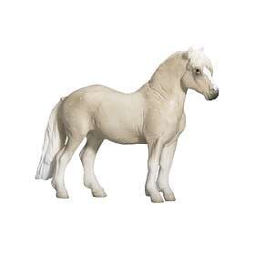 Mojo Welsh Pony