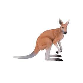 Mojo Kangaroo