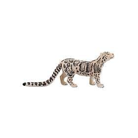 Mojo Molnig Leopard