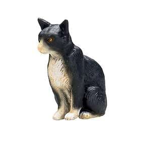 Mojo Katt, Sittande/Brun