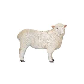 Mojo Romney Sheep (Ewe)