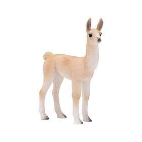 Mojo Lama Baby