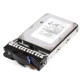 IBM 5532 300GB