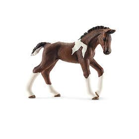 Schleich HORSE CLUB Trakehnare Foal 13758