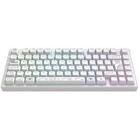 Dark Project Nova White 81 RGB