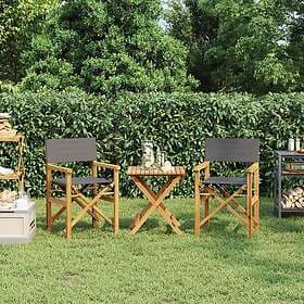 vidaXL Director Chairs 2 pcs Grey Solid Teak