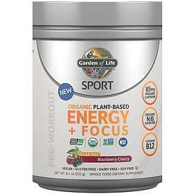 Garden of Life Organic Plant-Based Energy Focus, Blackberry Cherry (Sugar Free) 