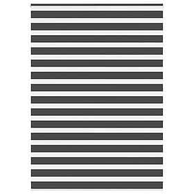vidaXL Rullgardin zebra svart 165x200 cm tyg bredd 160,9 cm polyester
