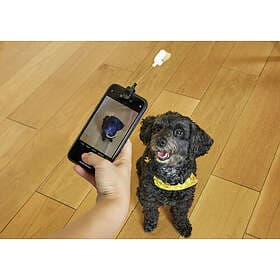 Dog Treat Selfie Clip (DIG01)