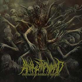 Anal Stabwound Abstraction Bathes In Sunlight CD