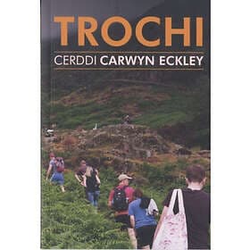 Trochi Cerddi Carwyn Eckley (häftad, wel)